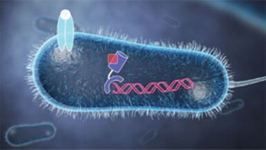 An adjuvant to reactivate antibiotics